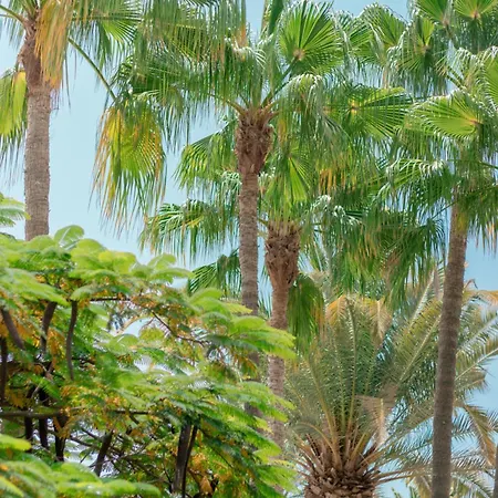 Apartamento El Palmar *